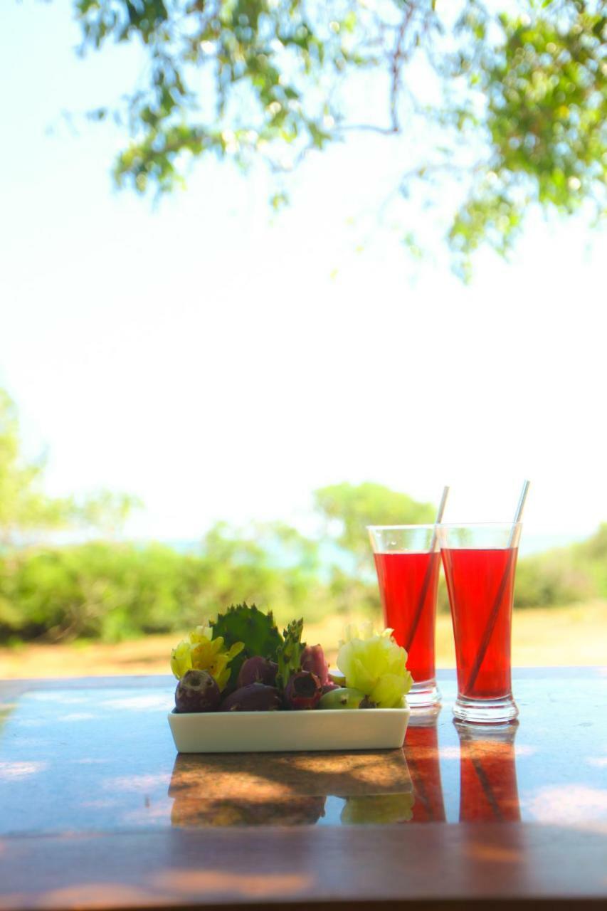 Nil Sisila Beach Resort Yala Kültér fotó